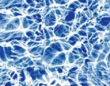 56f63b2b4a960654d430554211a59ffe