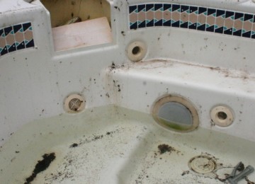 How to Remove Mildew or Mould from Your Spa Pool | HotSpring Spas